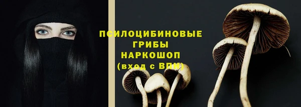 амф Зеленокумск