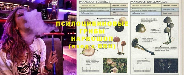 дживик Зеленодольск