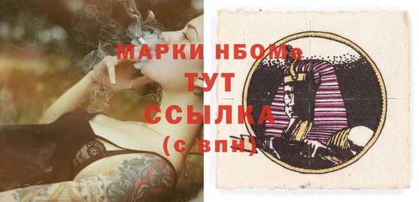 амф Зеленокумск
