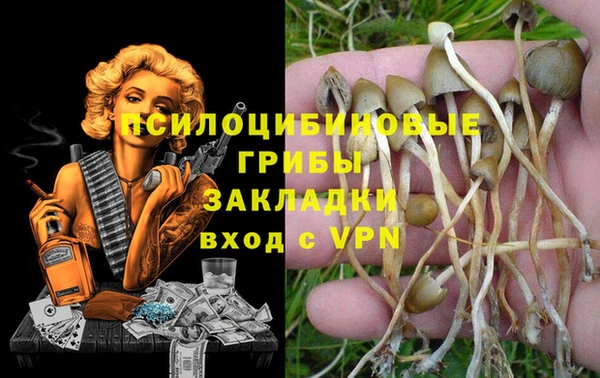 а пвп мука Зерноград